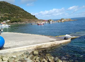 chile/los-lagos-region/restaurant/carretera-austral-sector-caleta-la-arena