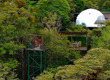costa-rica/monteverde-cloud-forest-biological-reserve/restaurant/san-lucas-treetop-dining-experience