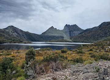 australia/cradle-mountain-lake-st-clair-national-park/restaurant/elements-cafe