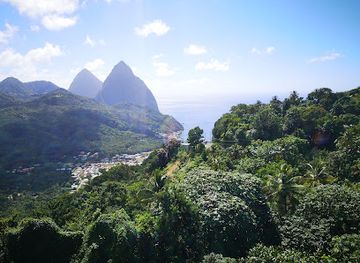 saint-lucia/millet-bird-sanctuary/restaurant/petit-peak-restaurant