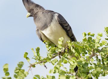 tanzania/tarangire-national-park/restaurant/tarangire-national-park