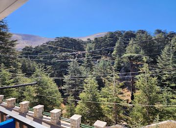 lebanon/cedars-of-god/restaurant/cafe-des-cedres