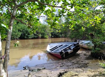 trinidad-and-tobago/argyle-waterfall/restaurant/ducky-s-ortoire-organic-roast-seafood