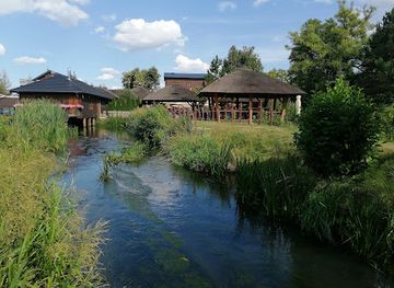 poland/roztocze-national-park/restaurant/chata-rybaka-pstragi
