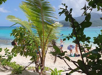 vanuatu/tafea-province/restaurant/mystery-island-cafe