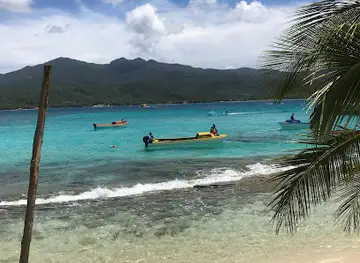 Fresh coconuts