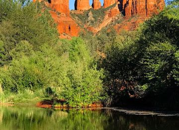 arizona/coconino-national-forest/restaurant/the-golden-goose-american-grill