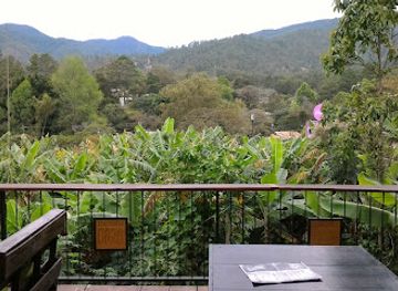 honduras/aguan-valley/restaurant/cerveceria-0826