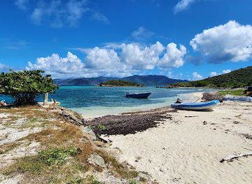 british-virgin-islands/guana-island-hiking-trails/restaurant/foxy-s-taboo