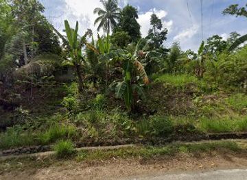 philippines/chocolate-hills/restaurant/cusina-de-lila