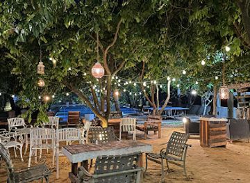 sri-lanka/kalpitiya/restaurant/bluewhale-restaurant-and-bar