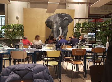 italy/bologna/restaurant/altro