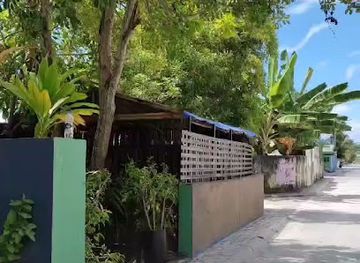 maldives/maafushi/restaurant/grove-cafe-bistro