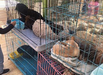 jordan/azraq-wetland-reserve/restaurant/black-iris-farm-restaurant