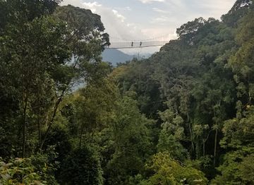 rwanda/nyungwe-forest-national-park/restaurant/nyungwe