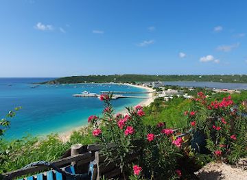 anguilla/rendezvous-bay/restaurant/unique-bar-grill