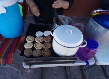 mexico/huasteca/restaurant/comida-huasteca-tordo-huasteco