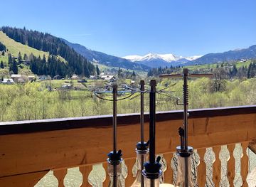 ukraine/carpathian-mountains/restaurant/at-moshe-s-tavern