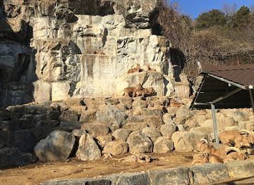 south-korea/daejeon/jung-gu/restaurant/bien-damso