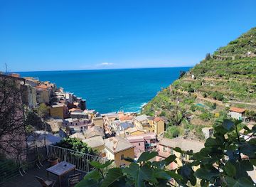 italy/cinque-terre/restaurant/trattoria-dal-billy