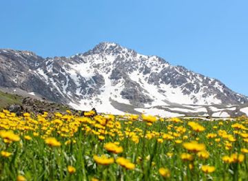 kyrgyzstan/kemin/restaurant/trip-to-kyrgyzstan