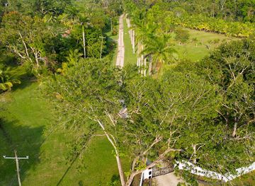belize/mountain-pine-ridge-forest-reserve/restaurant/warrie-head-restaurant