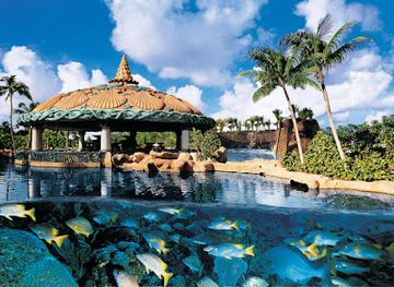 the-bahamas/ragged-island/restaurant/lagoon-bar-grill