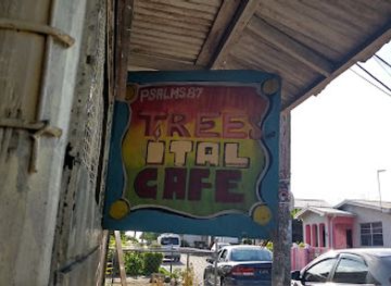 barbados/bridgetown/restaurant/trees-ital-cafe