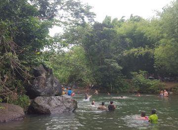 puerto-rico/el-yunque-national-forest/restaurant/rest-el-dajao