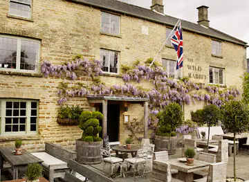 The Wild Rabbit