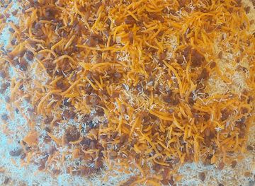 saudi-arabia/al-ula/restaurant/matam-nabk