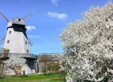 latvia/selonia/restaurant/rozmalas