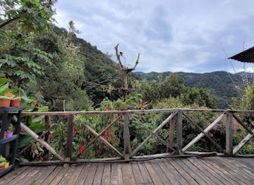 costa-rica/chirripo-national-park/restaurant/miriam-s-quetzals