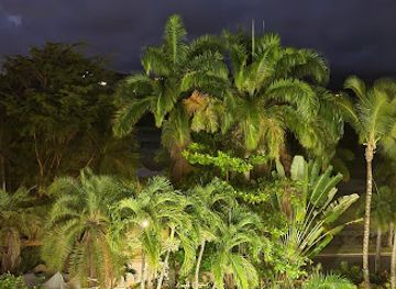 puerto-rico/el-yunque-national-forest/restaurant/iguanas-cocina-puertorriquena