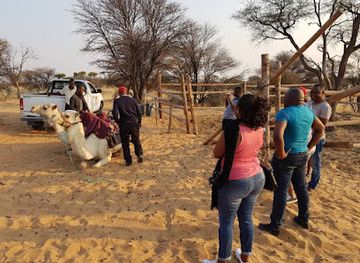 botswana/kgalagadi-transfrontier-park/restaurant/camel-park