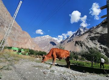 pakistan/gilgit-baltistan/restaurant/khyber-ibex-restaurant