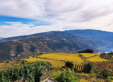 portugal/serra-do-marao/restaurant/grelha