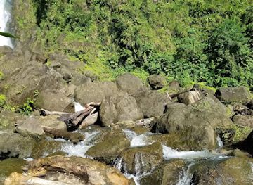 dominica/trafalgar-falls/restaurant/papillote-rainforest-restaurant