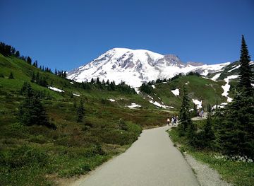 washington/mount-rainier-area/restaurant/mount-rainier-national-park