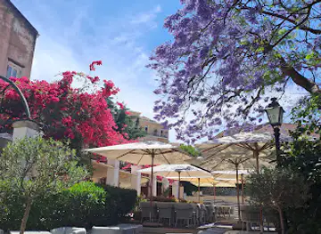 Bougainvillea