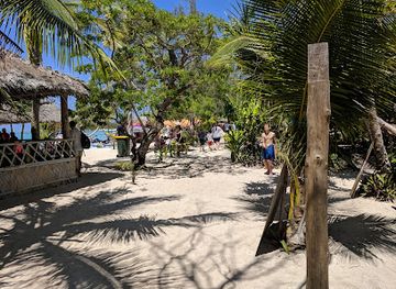 vanuatu/isangel/restaurant/fresh-coconuts