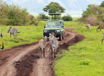 tanzania/tarangire-national-park/restaurant/mto-tarangire