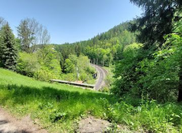 austria/semmering/restaurant/hinterholz-9