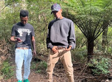 ethiopia/dire-dawa/restaurant/magalaa-cabaxu-or-madar-jadiid