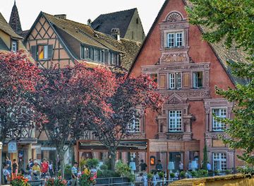 france/colmar/restaurant/jy-s