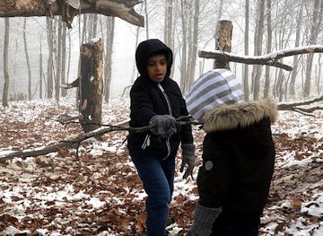 azerbaijan/gabala/restaurant/dostluq-restorani