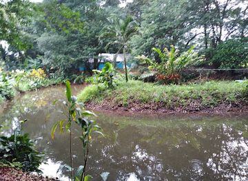 costa-rica/sarapiqui/restaurant/centro-recreativo-las-tilapias