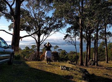 australia/mount-field-national-park/restaurant/the-signal-station-restaurant
