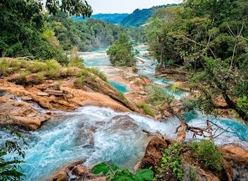 mexico/lacandon-jungle/restaurant/cascadas-de-agua-azul