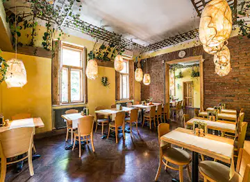 Samsara Foodhouse - Cluj restaurant plant-based